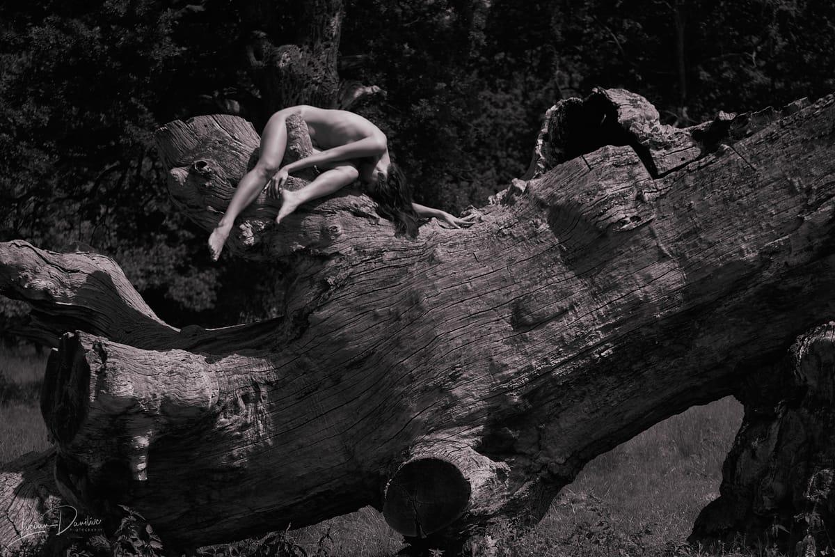 Humans meet the tree spirit